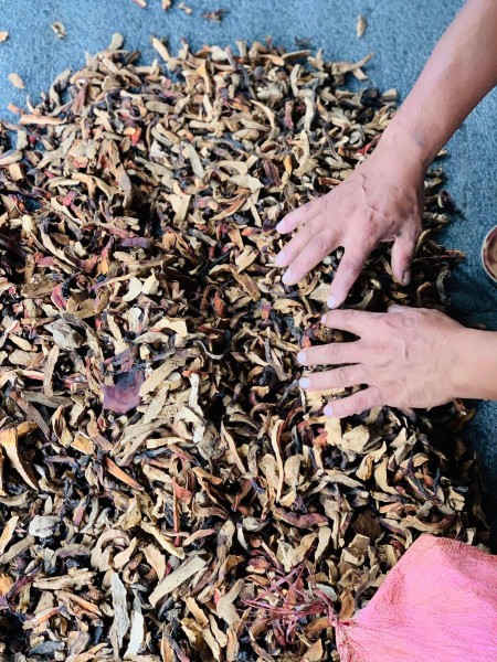  घरबासको आकर्षक परिकार रातो च्याउ